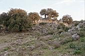 Supramonte di Baunei